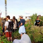ECOLE_site1